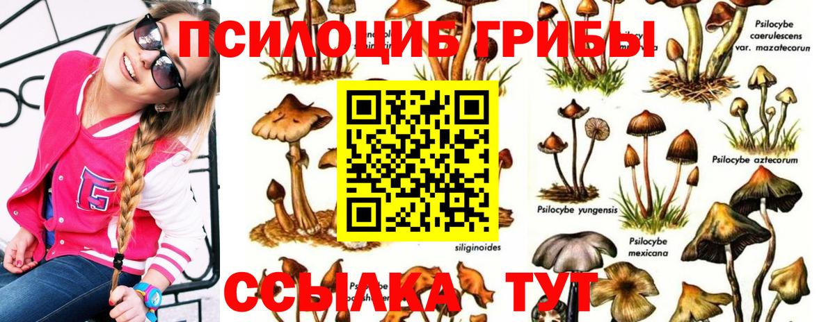 Нефтекамск  Галлюциногенные грибы мухоморы  Вход с VPN  Псилоцибиновые грибы GOLDEN TEACHER 